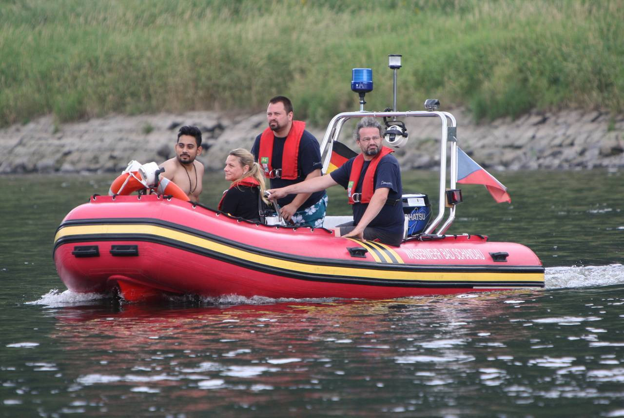 Elbeschwimmen In Der S Chsischen Schweiz Knapp Wasserratten